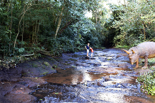 Cachoeira 10