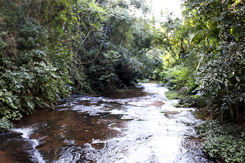 Cachoeira 14