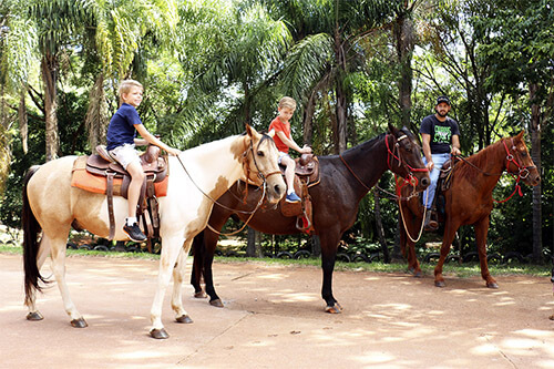 Passeio a cavalo 1