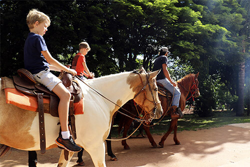 Passeio a cavalo 2